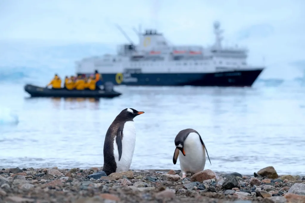 Expeditions and Explorations