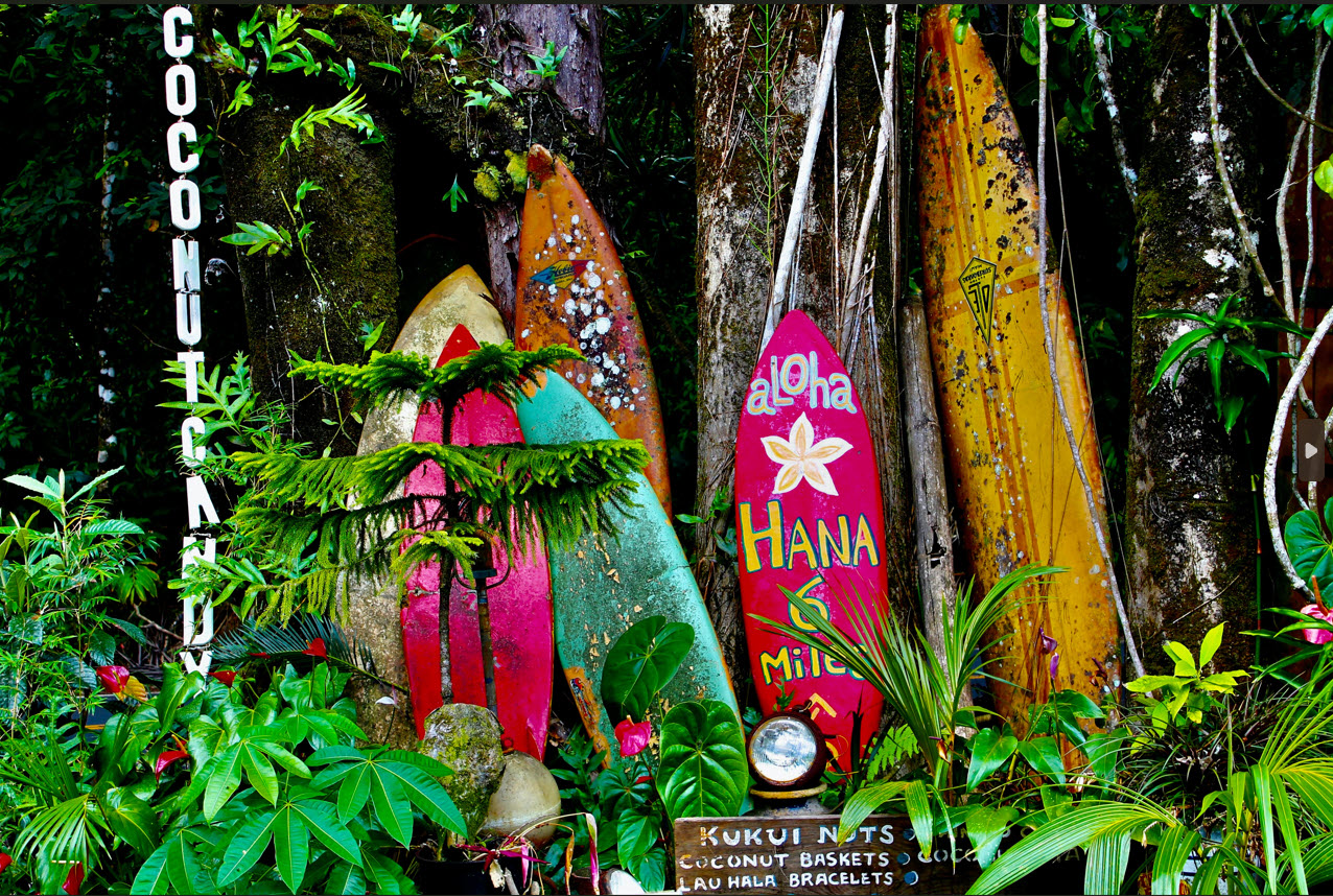 Hana snagit