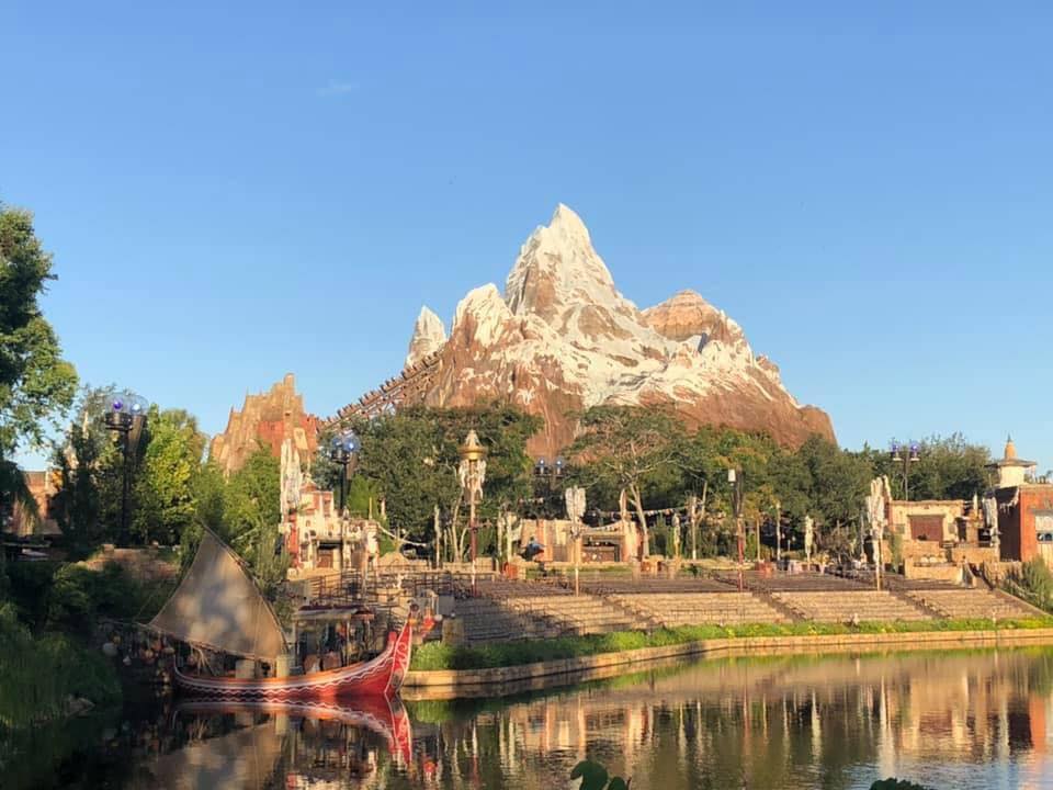 animal kingdom
